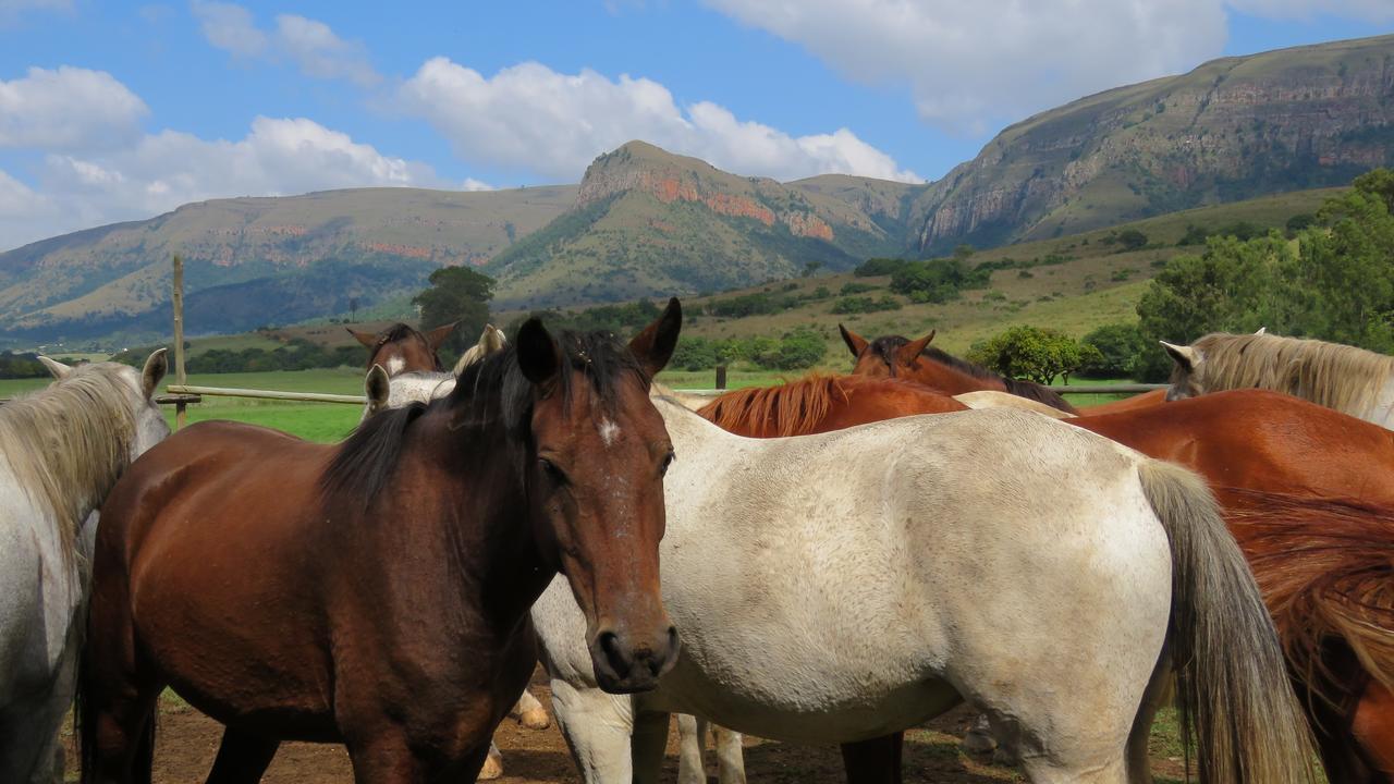 Verlorenkloof Dullstroom Exterior photo
